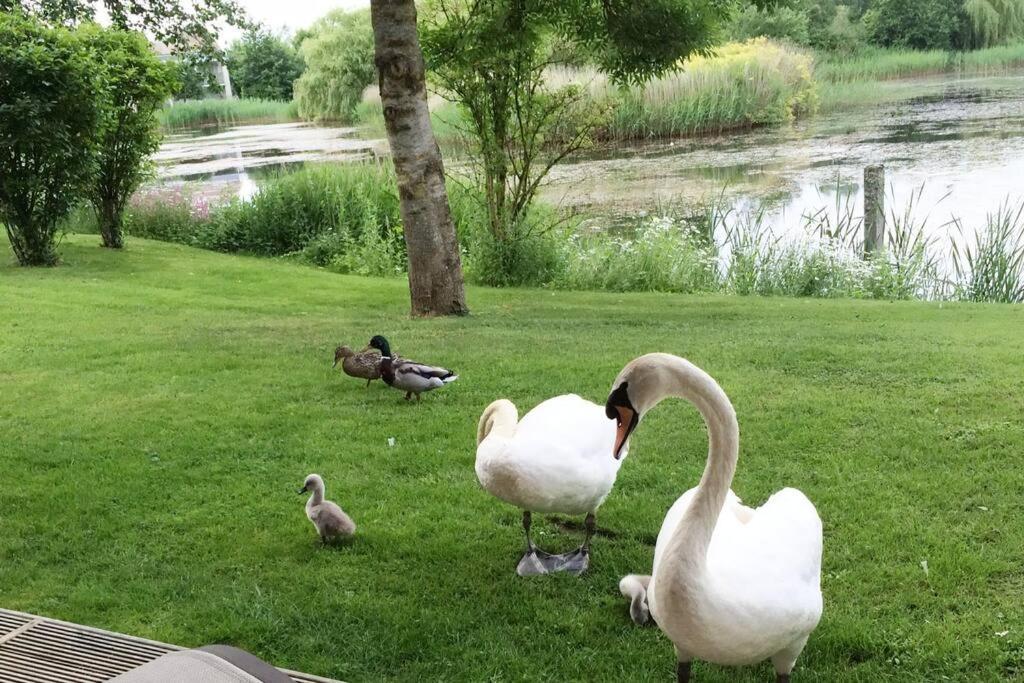 Cotswolds Lakeside Retreat: Luxury Spa with Harry Potter Charm Somerford Keynes Exterior photo